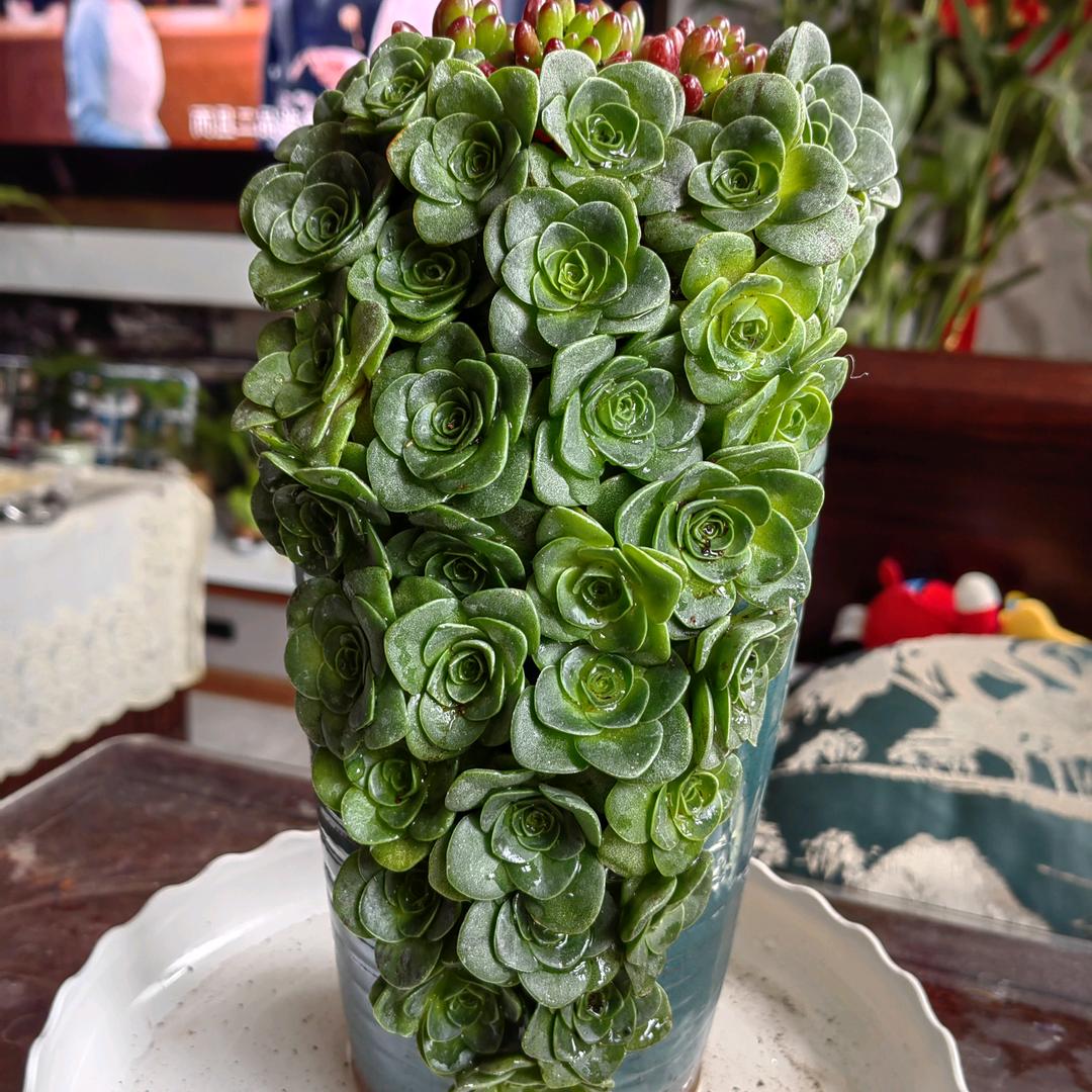 织织