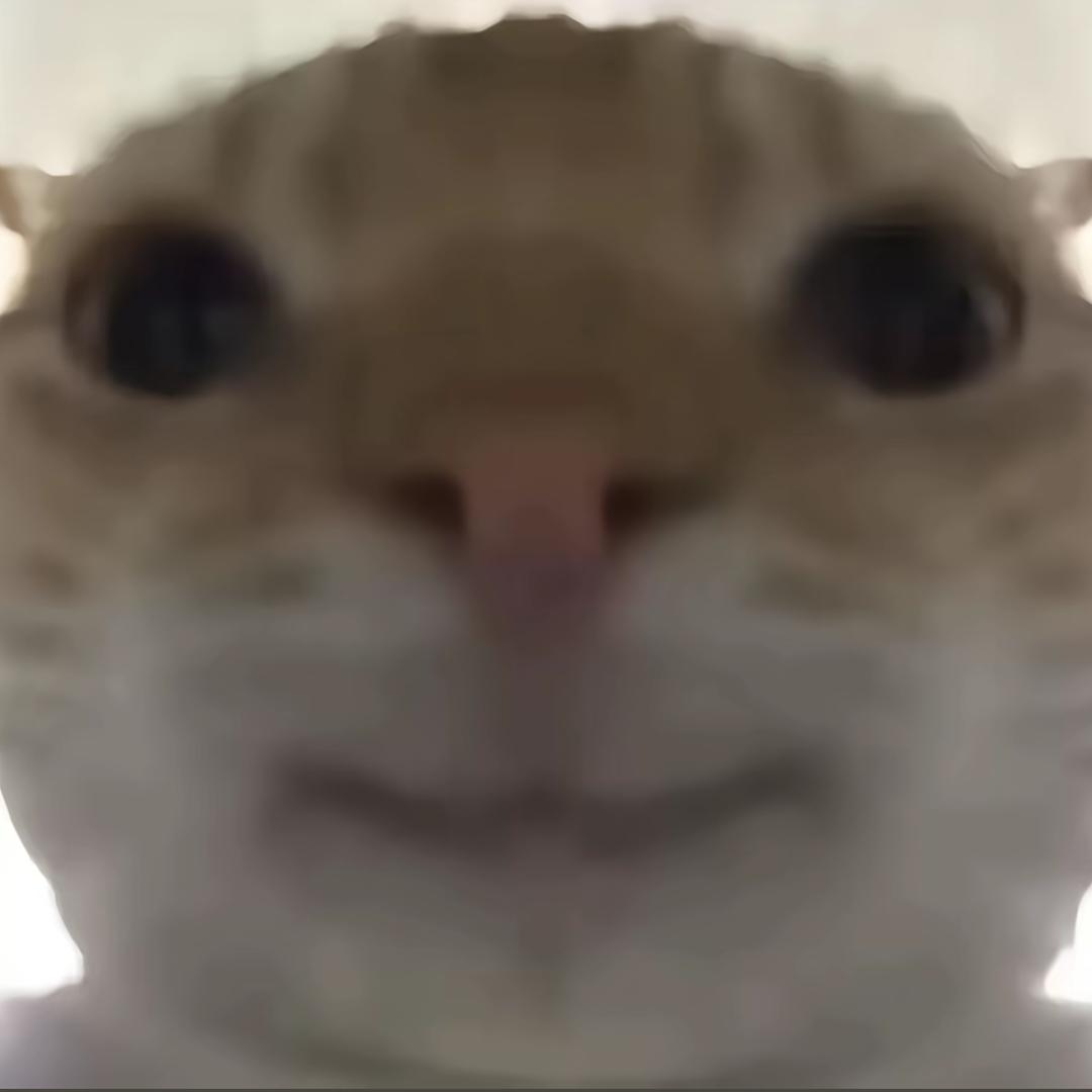 机长（三角洲猛攻鼠）