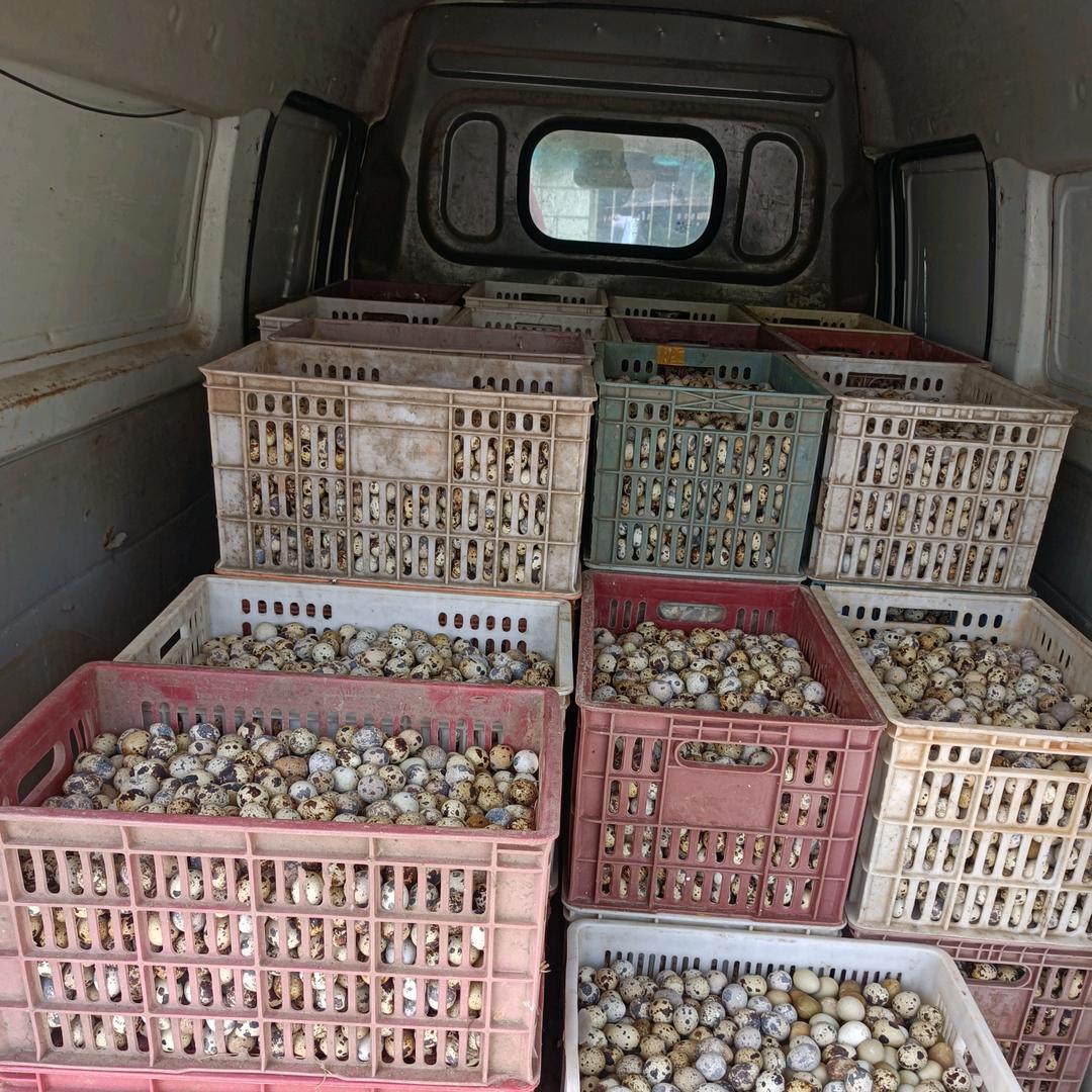 兵灏小店