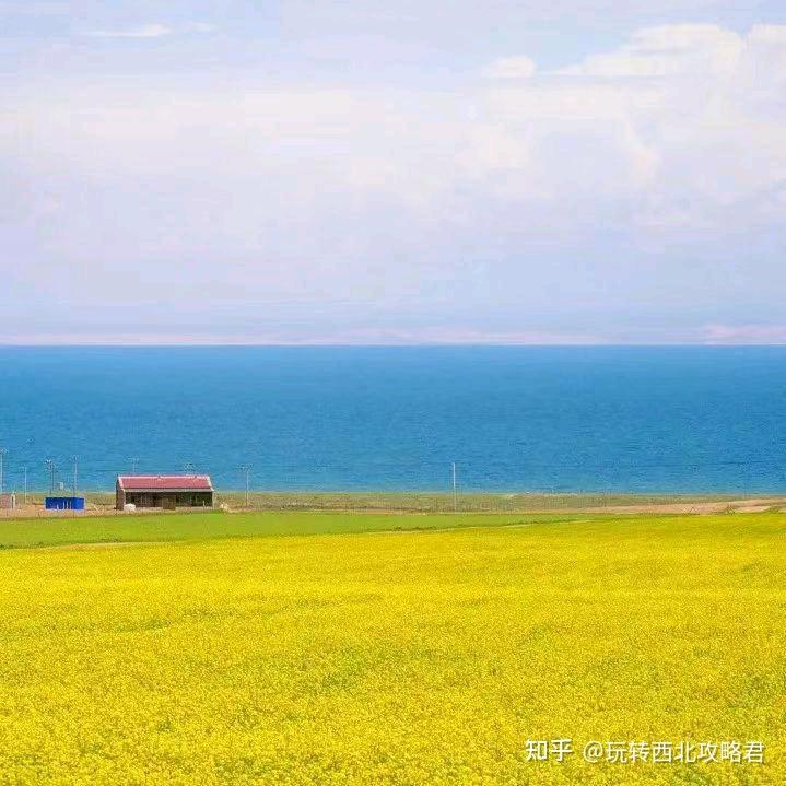 小小施生
