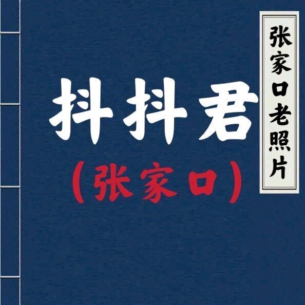 抖抖君（张家口）