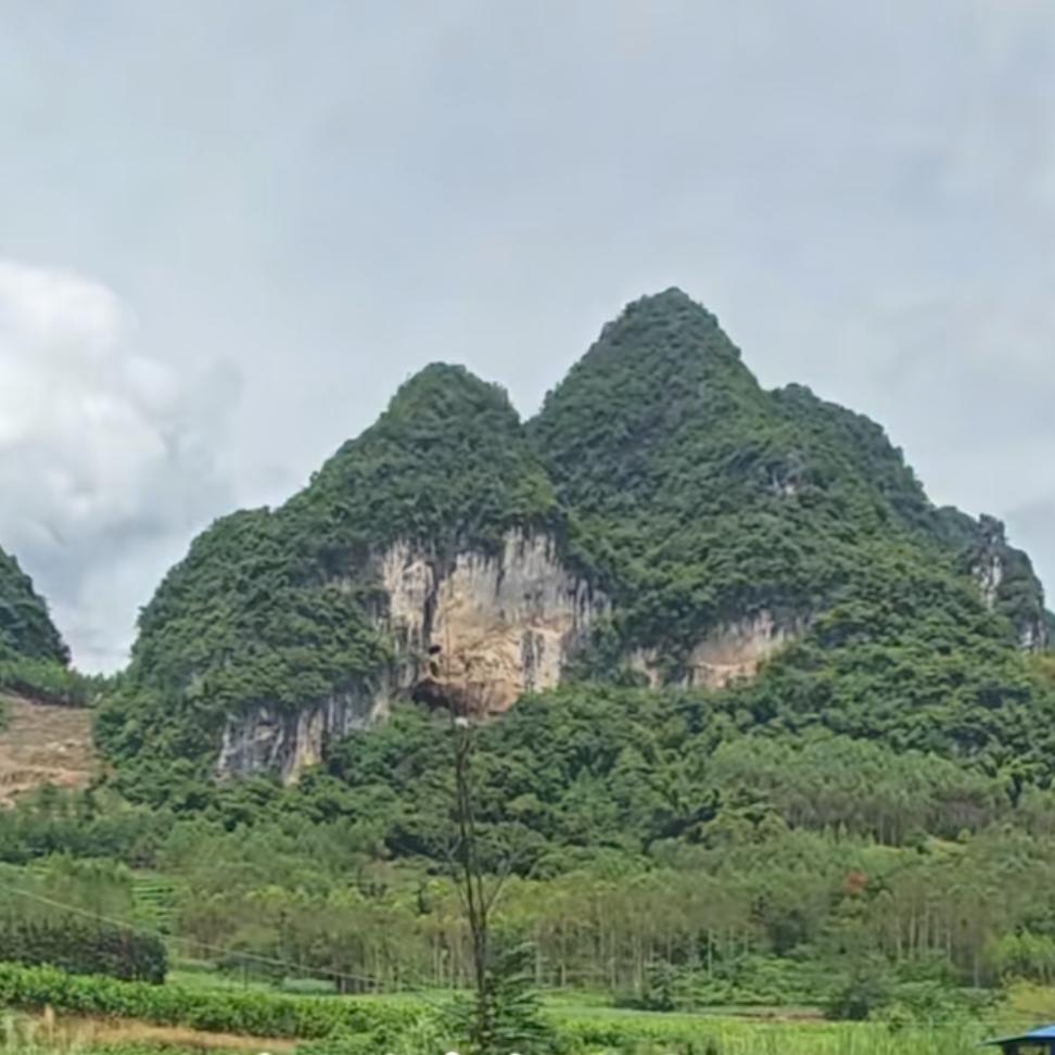游天下