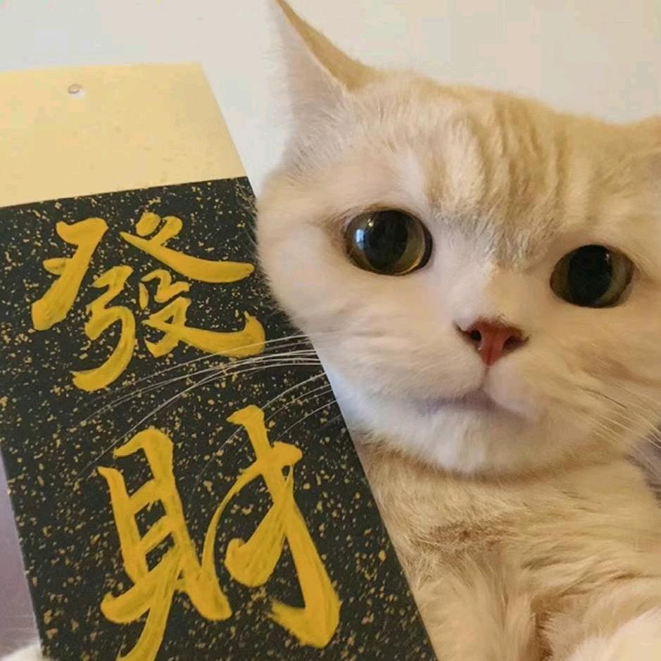 斯🐟安乐