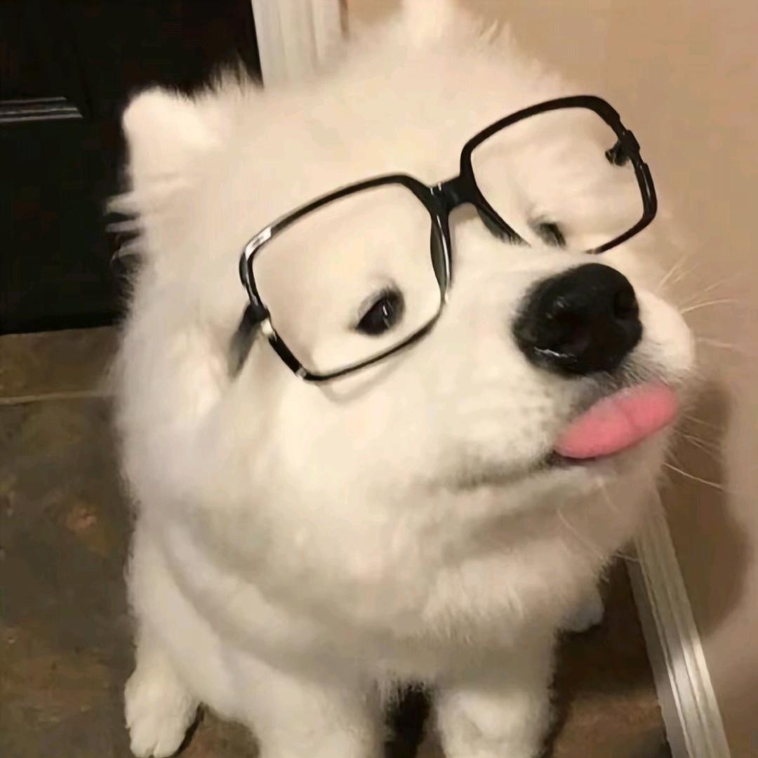 诚实可靠小郎君