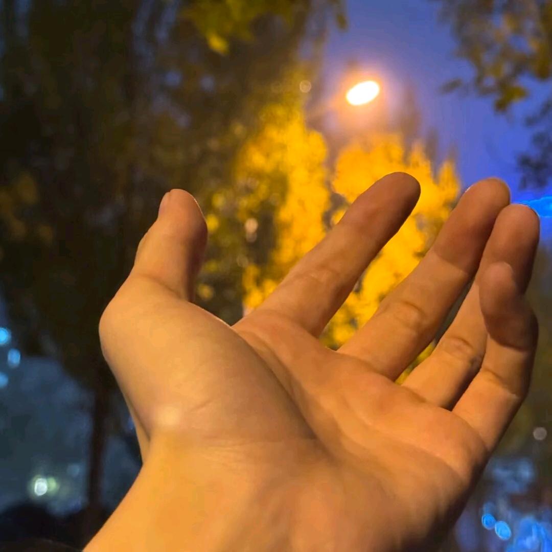 AAAAA杨