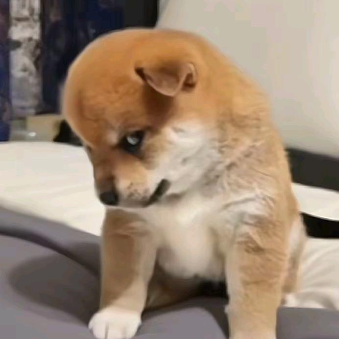 我的小生活已醒