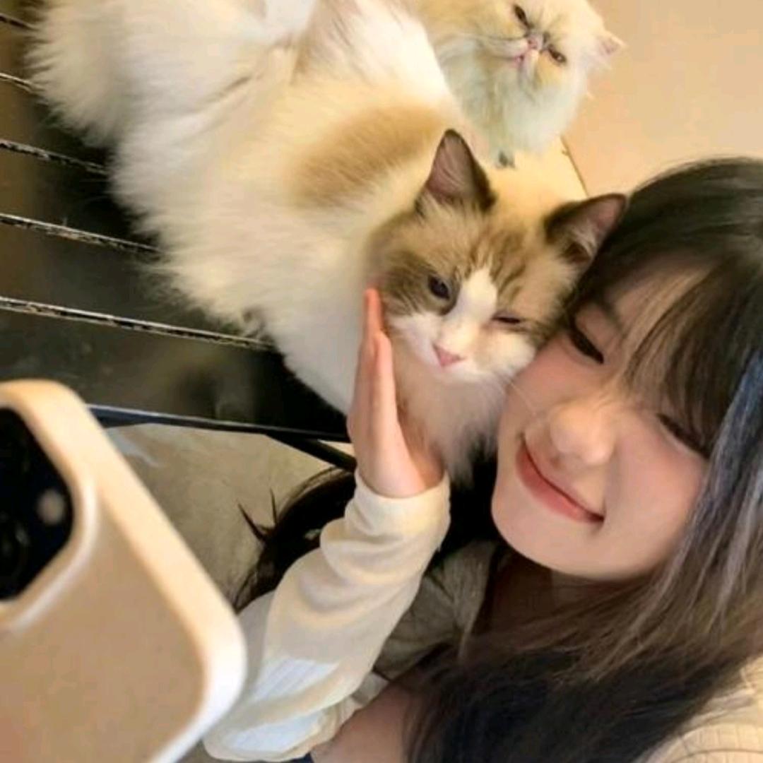 曦窗小记