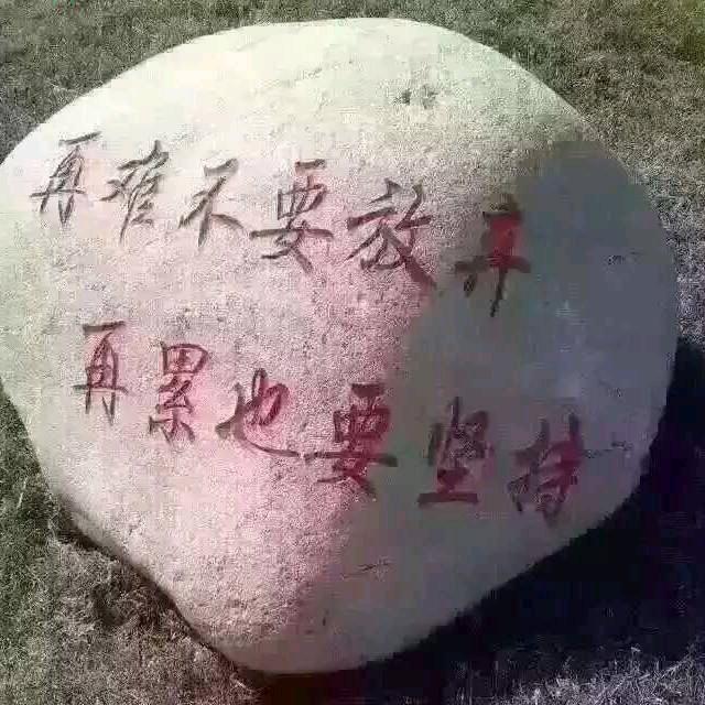 萍萍1130