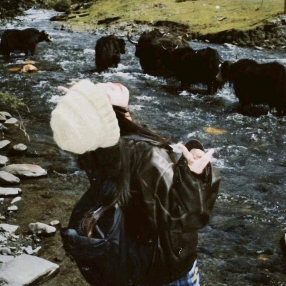 不知名京城公主