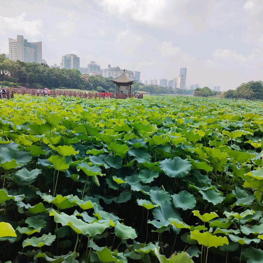 潇爺976606
