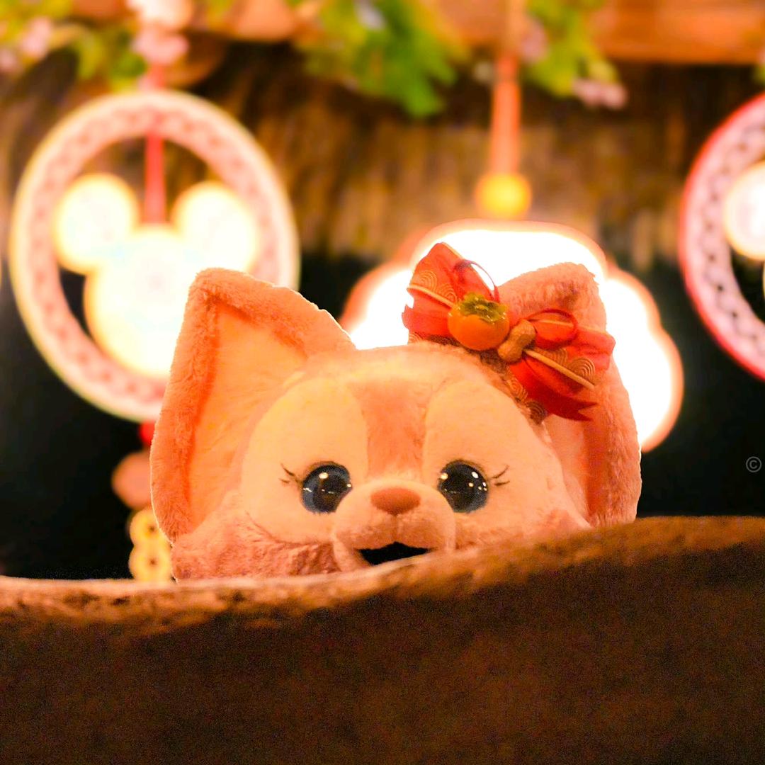 菠萝菠萝喵