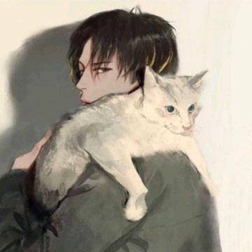 星星掉进鼓浪屿✨