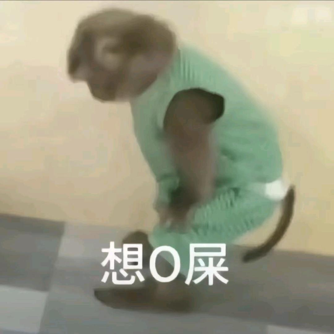 KK呼噜呼噜😴