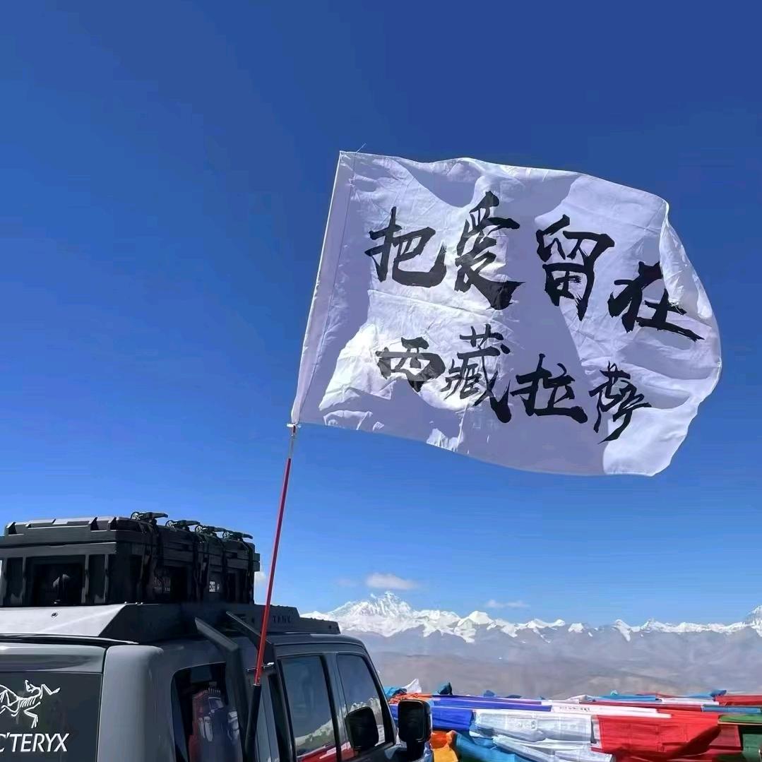大脑缺氧～进藏版