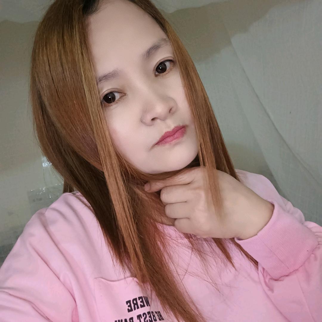 东北铁锅炖大鹅
