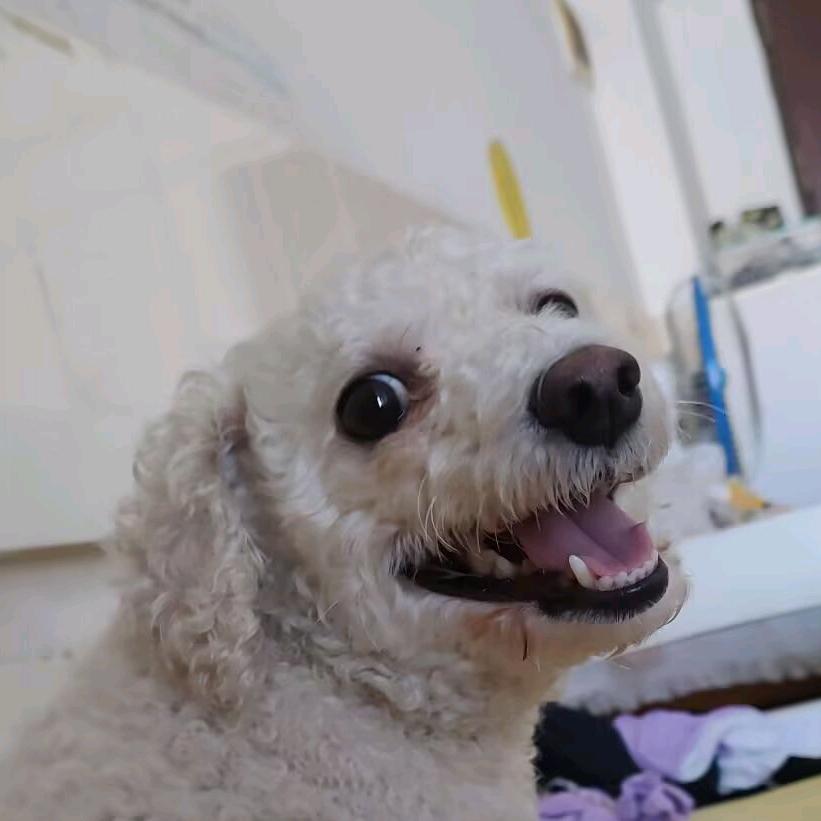 幸福