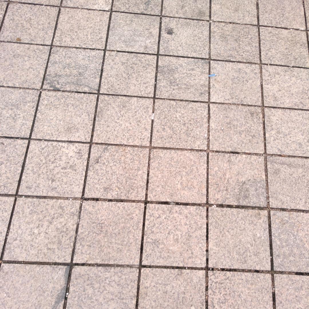 这货名叫李宗泽