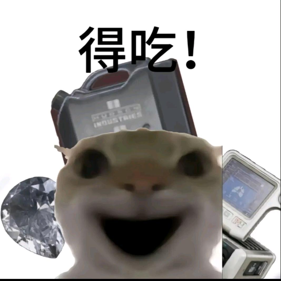 哈基蜂头像