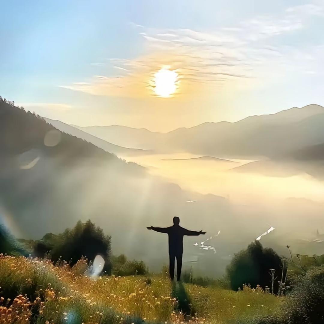 清风饮露