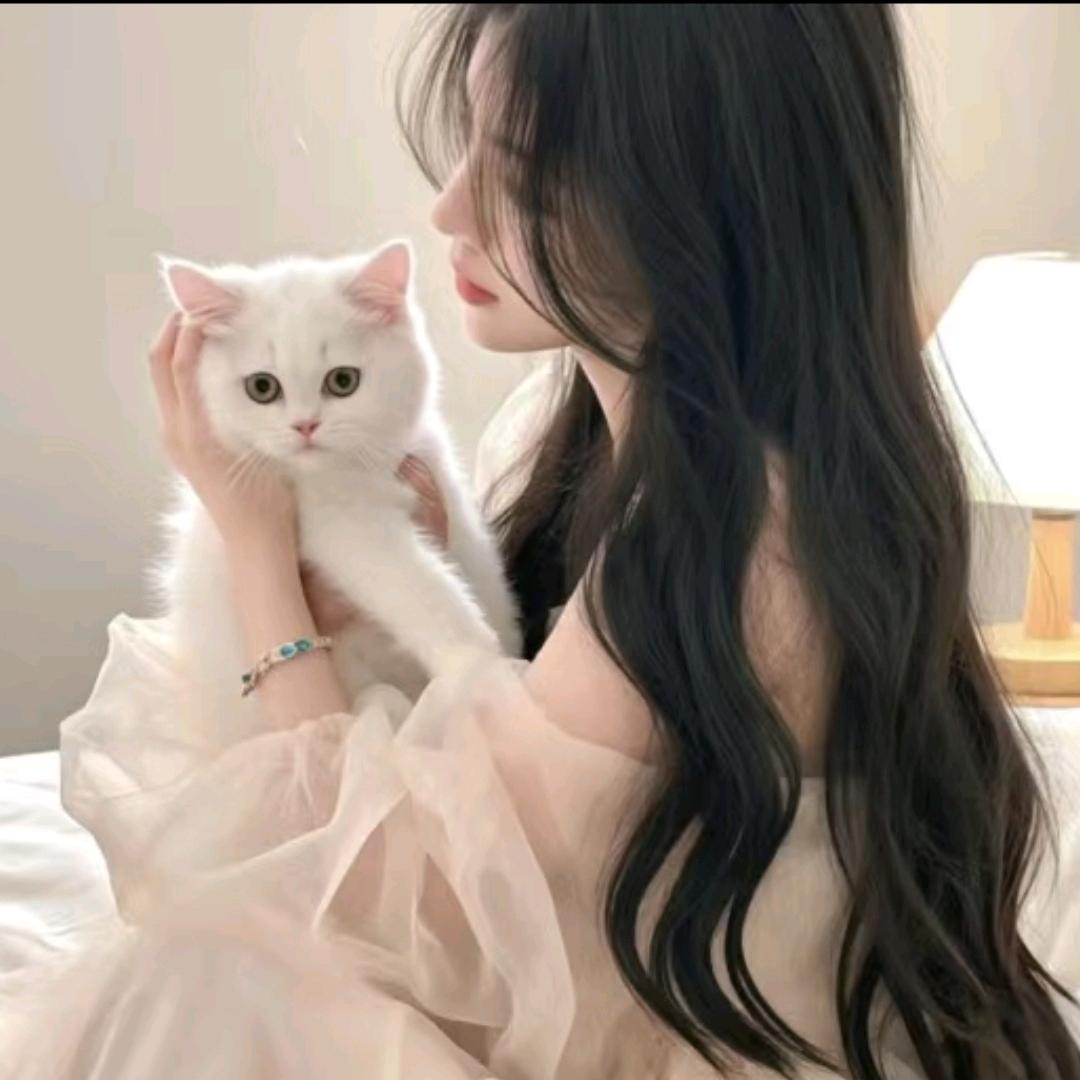 不屑一顾最相思