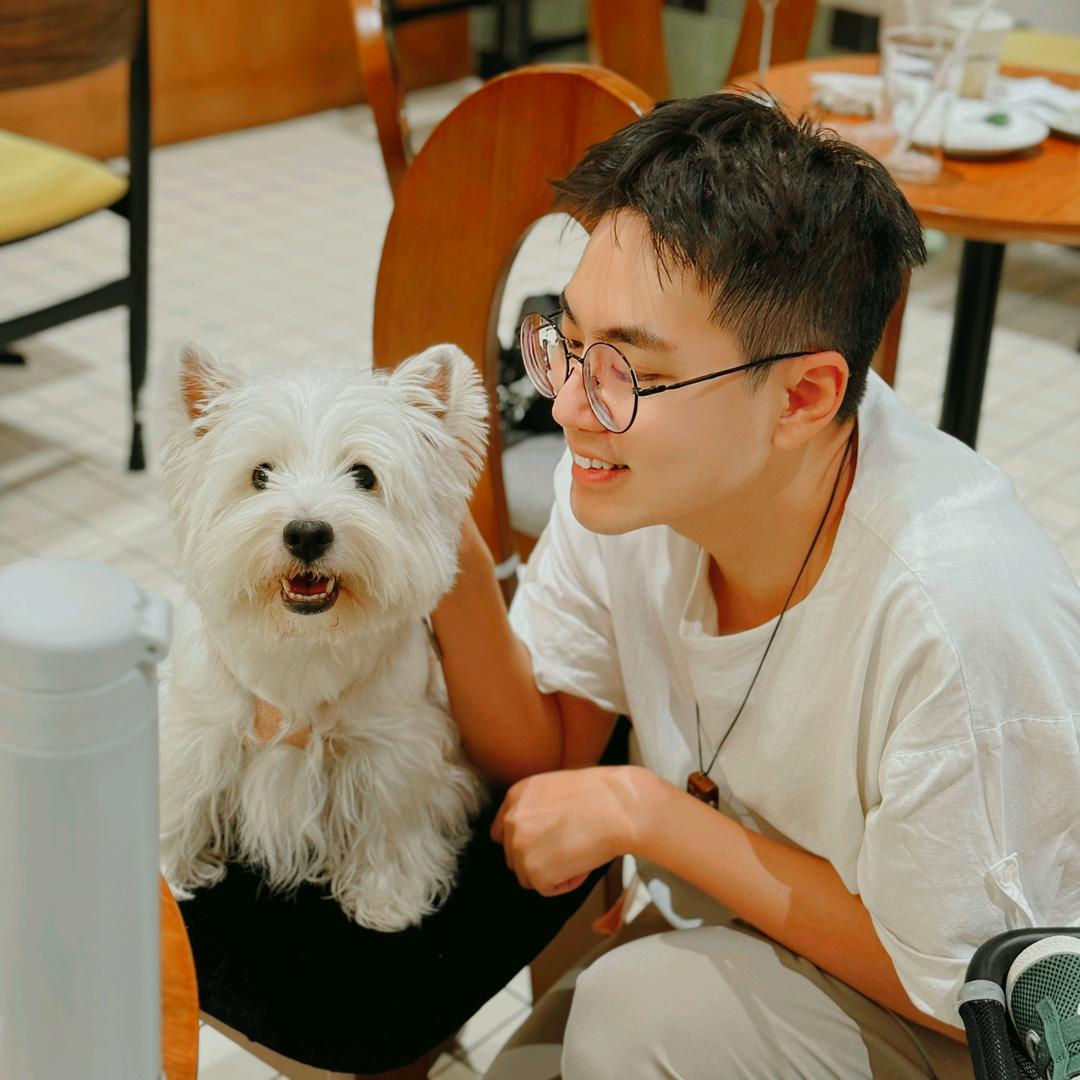 哈利先生在此