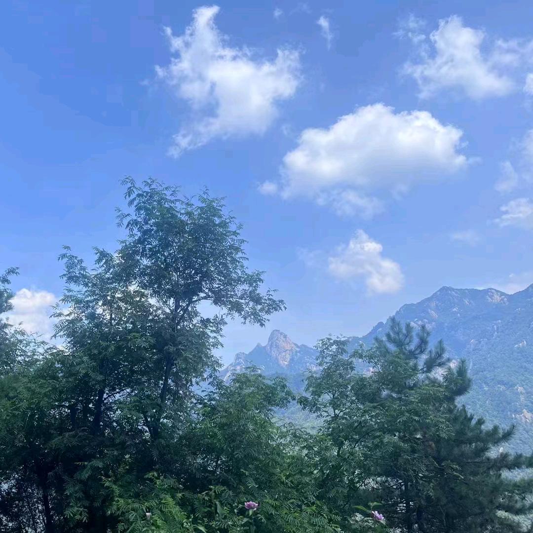 （泉州）收头发啊胜