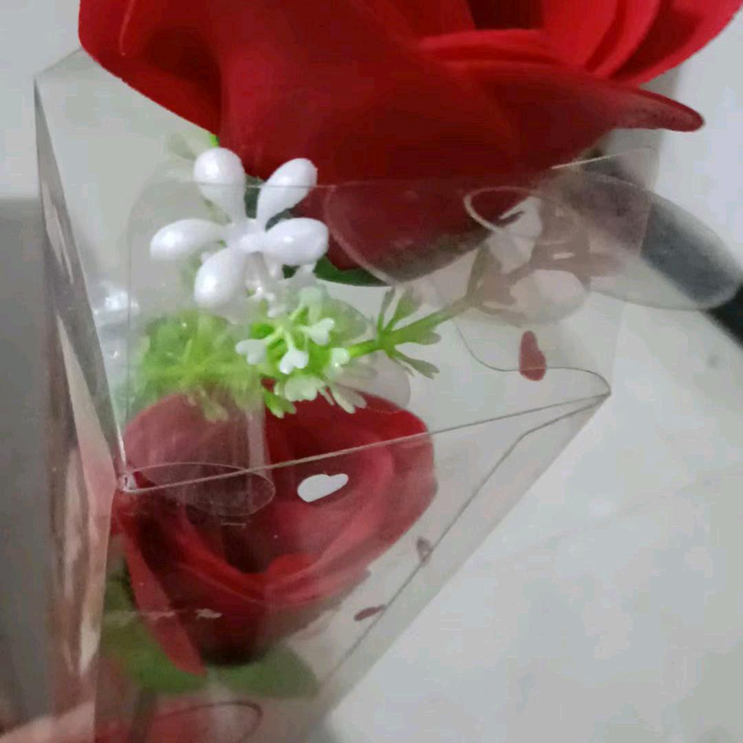 一往情深