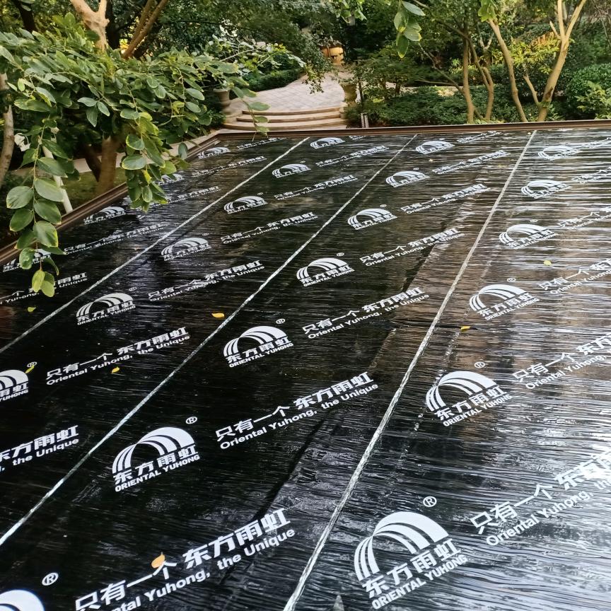 水资源隔离技术研究所所长