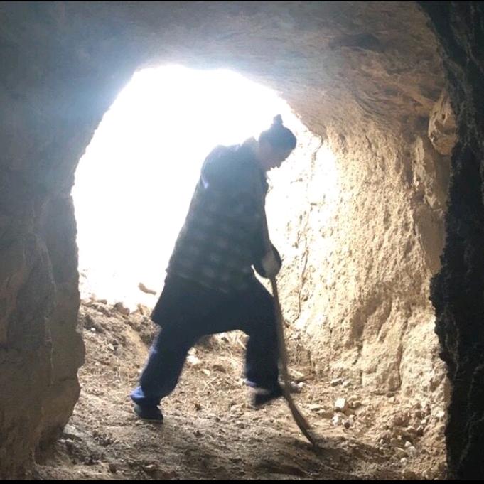 洞见了糊涂fachen5