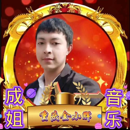 重庆金小辉