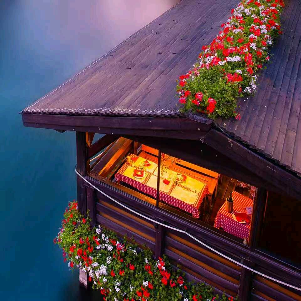 用户430536842338海歌