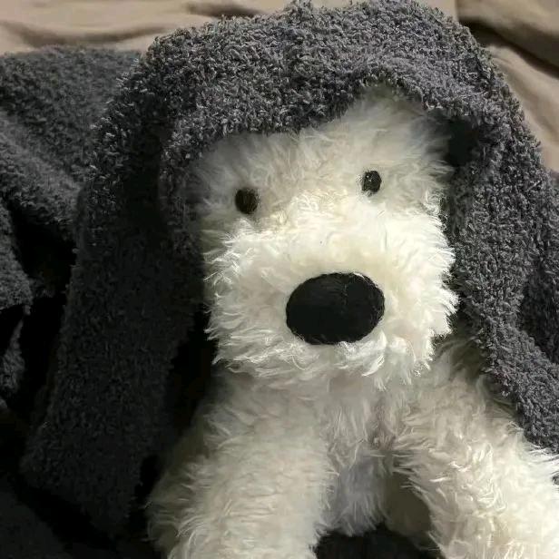 𝑨𝑹𝑹𝑰𝒁𝑶8