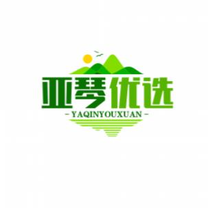 亚琴优选推荐