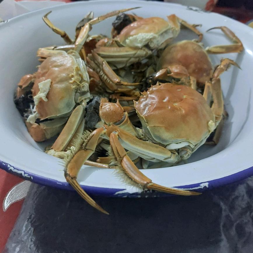 开心美一天
