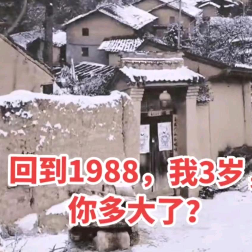 鱼儿和水