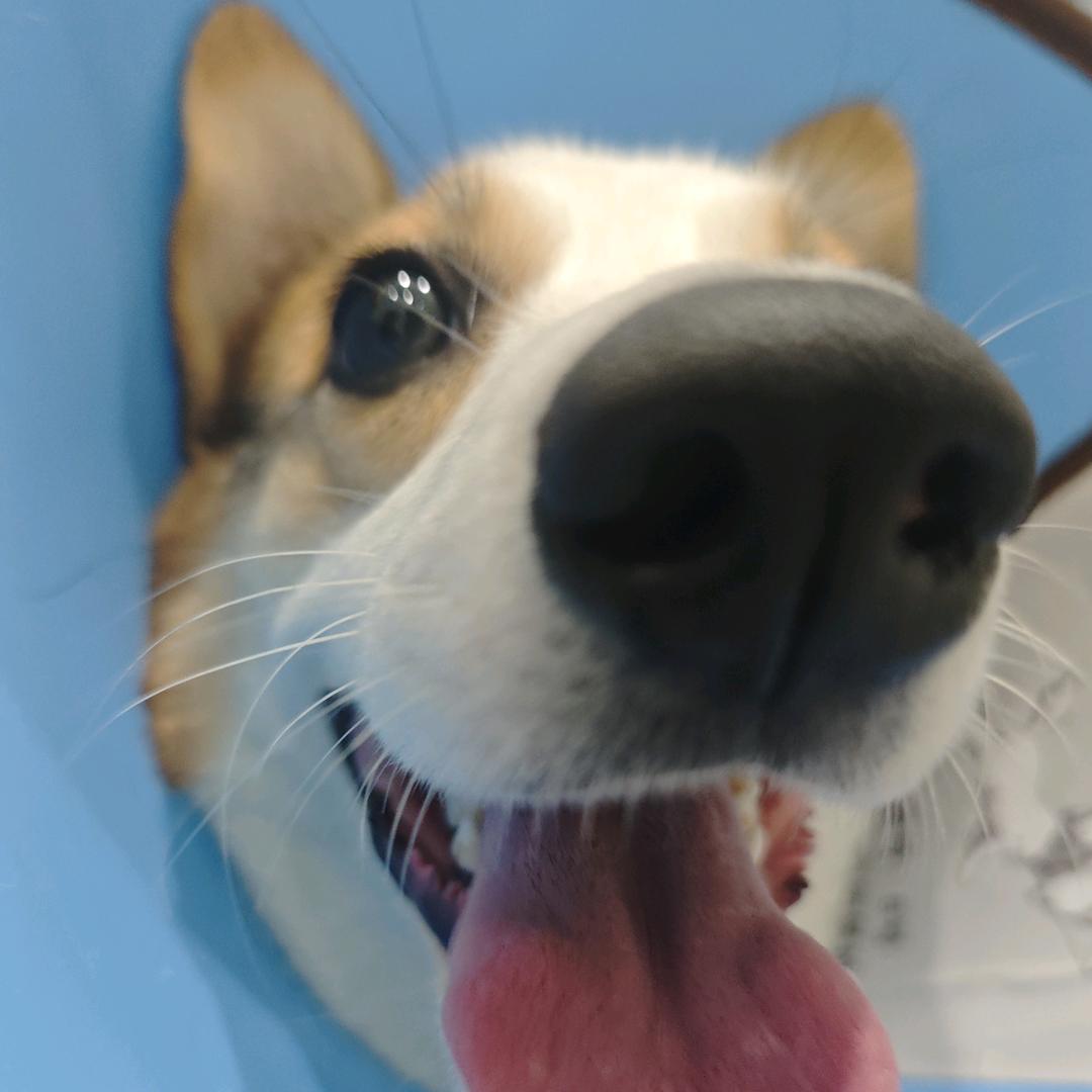 悠悠的小基腿