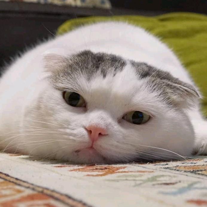 我想静静～