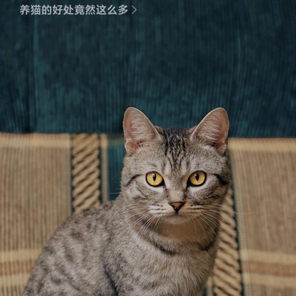 张乃勤