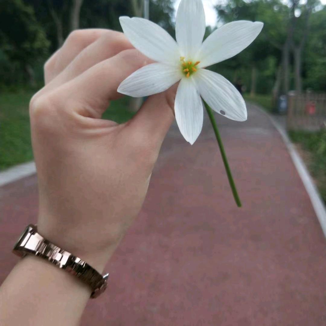 微笑的侧脸