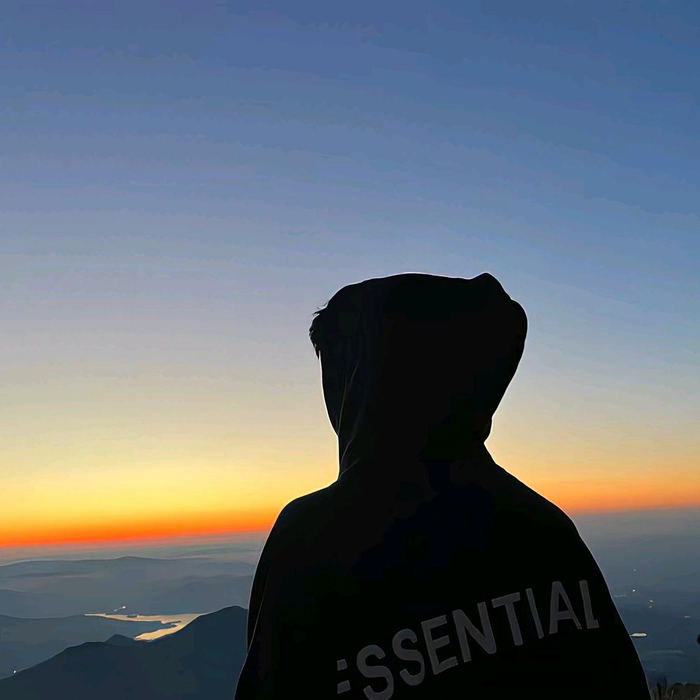 岑诗