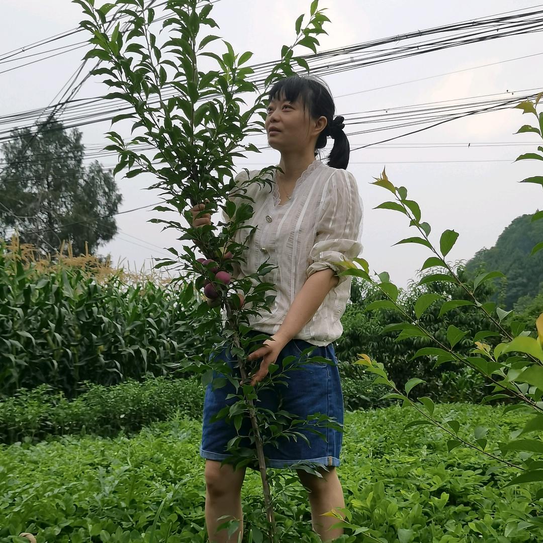 米粒好物