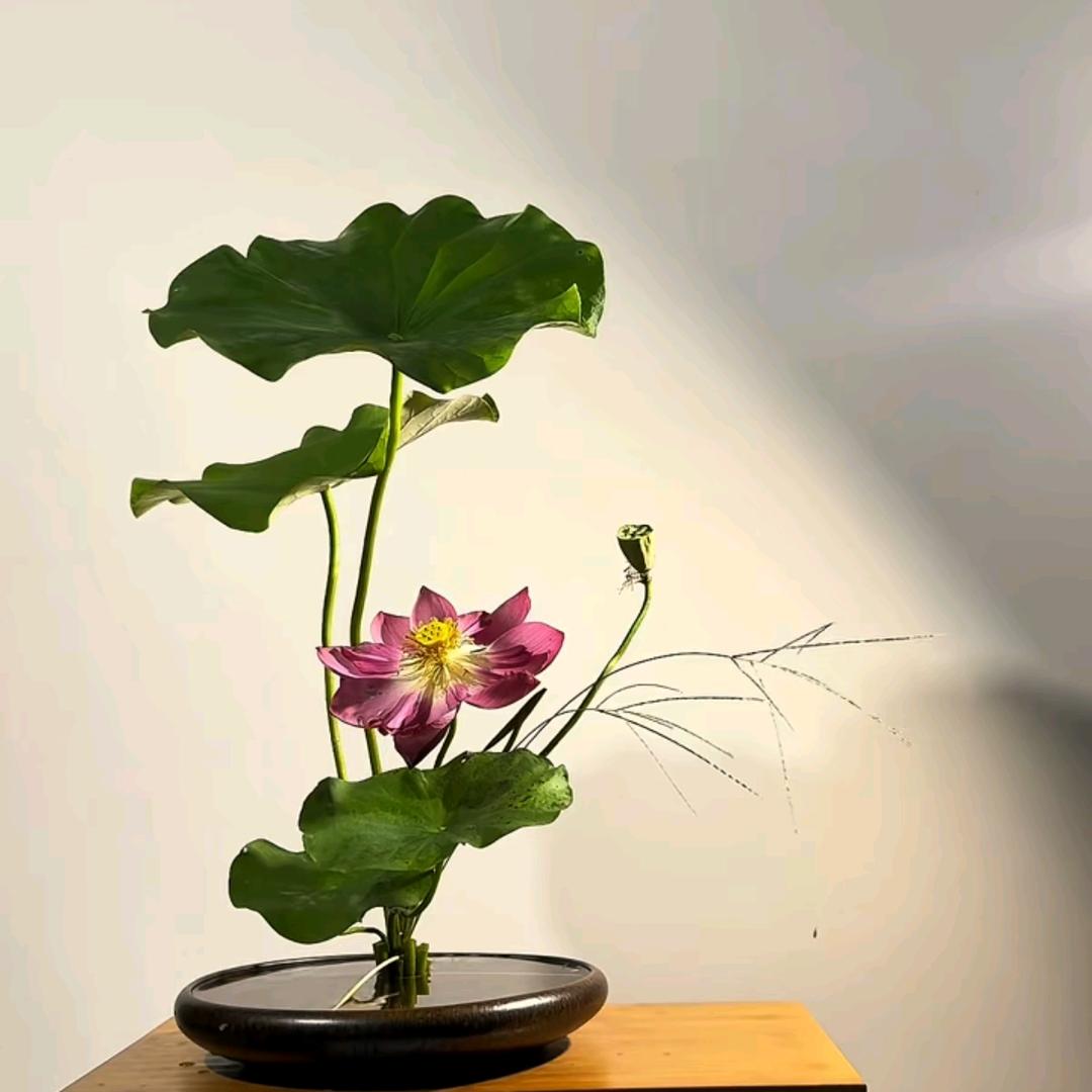 李哥优选