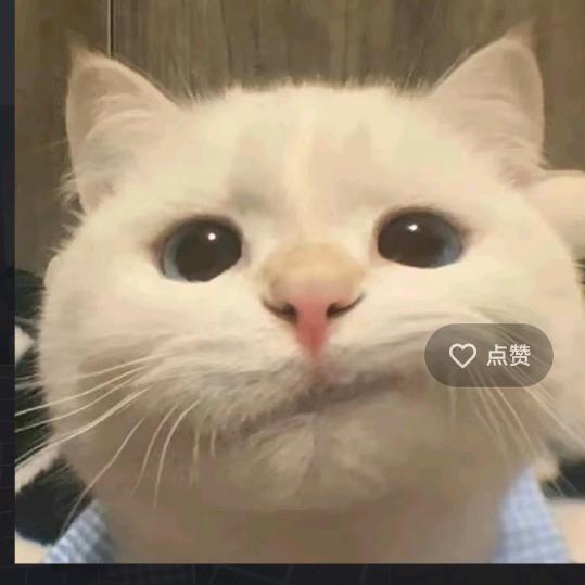 文亚