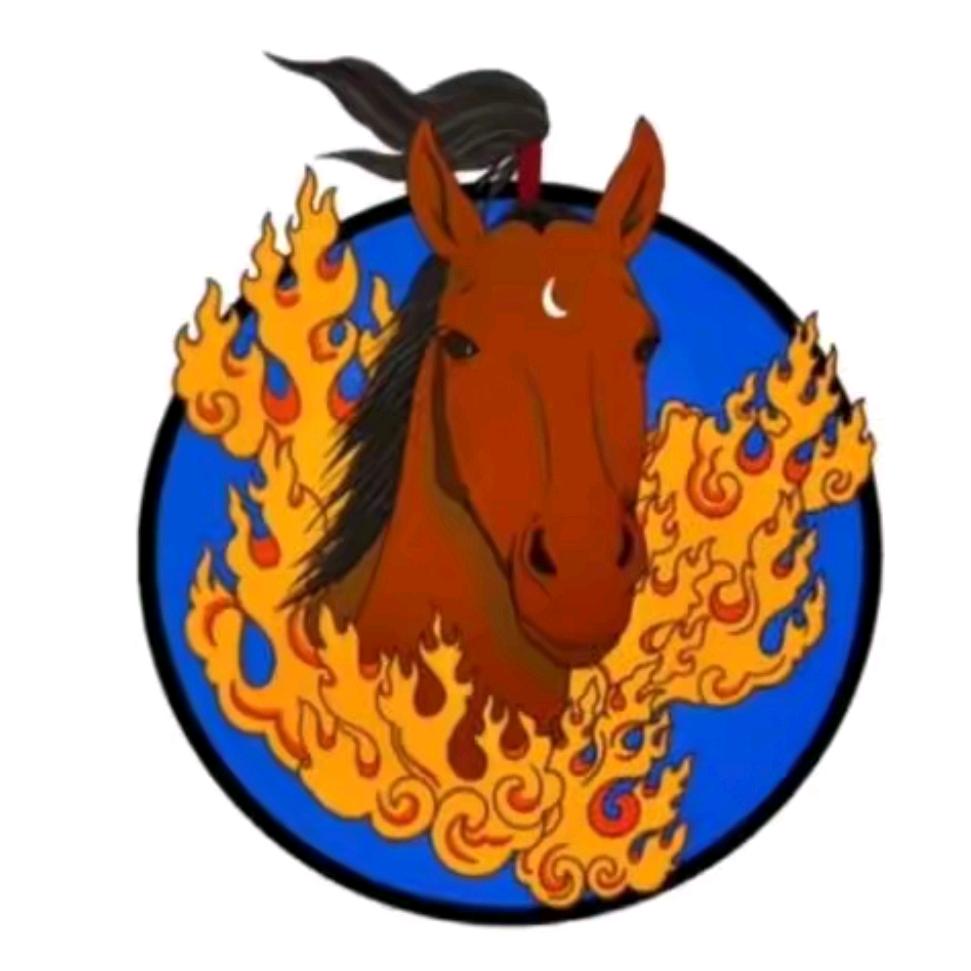 追风马术俱乐部𓃗