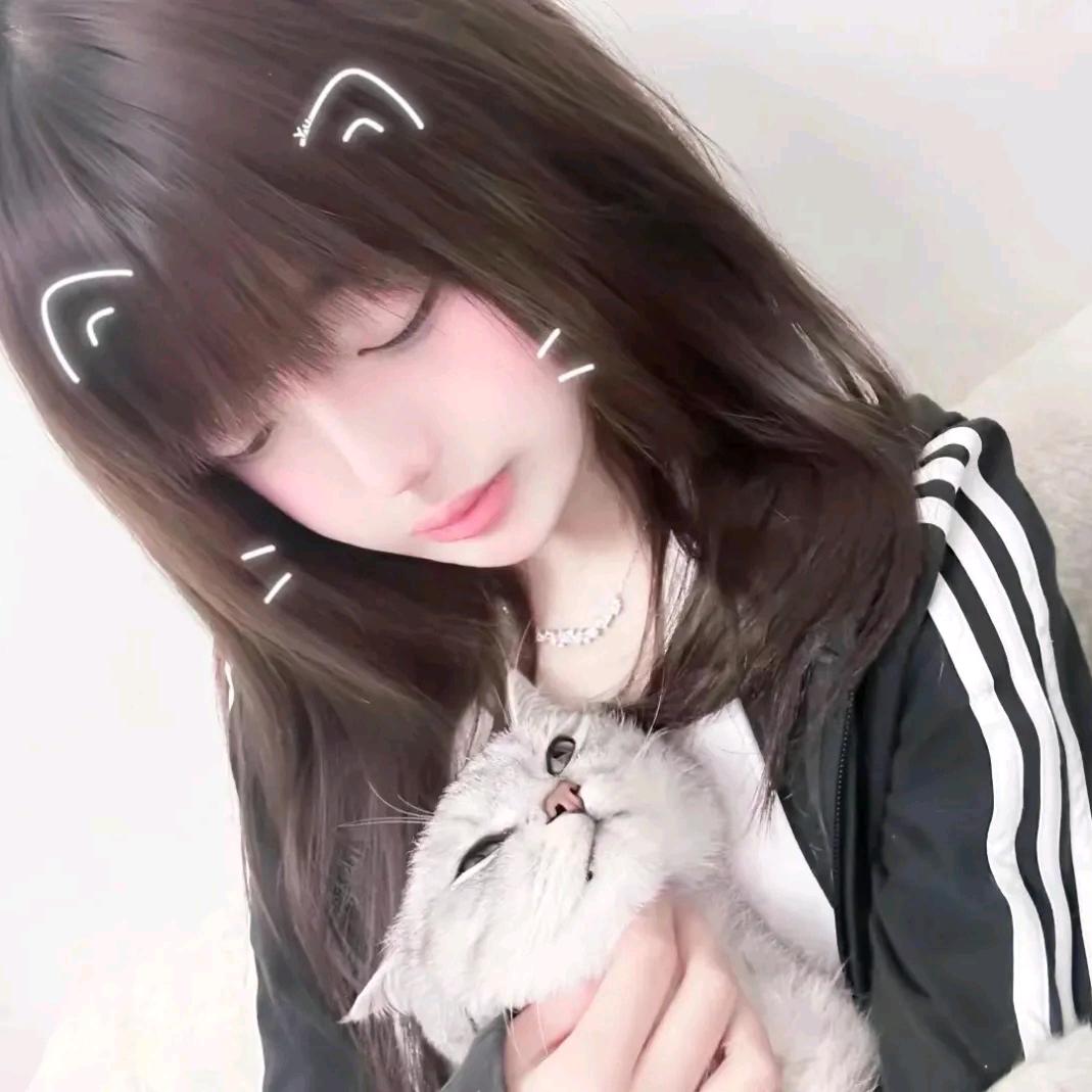 锦鲤小莹