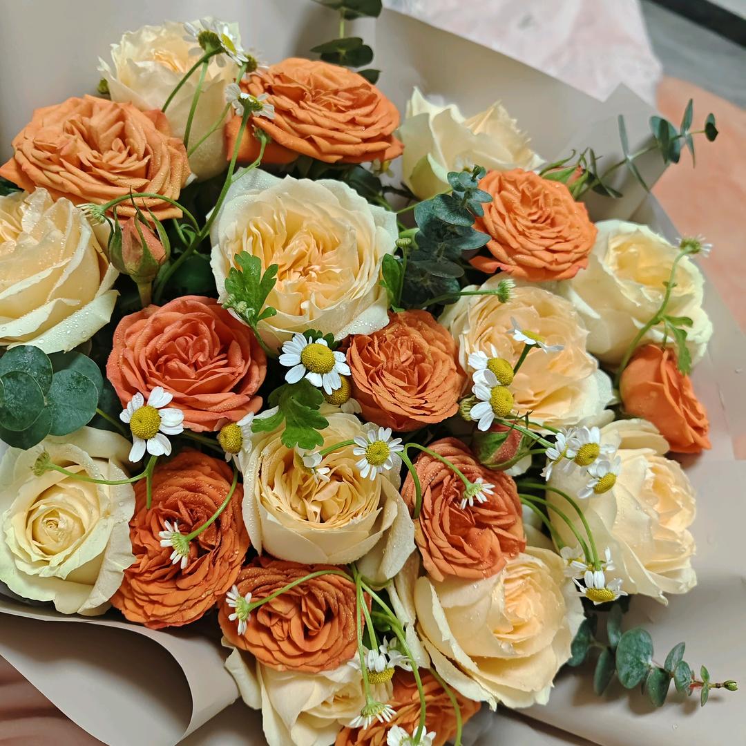 静听花开🌷🌷🌷