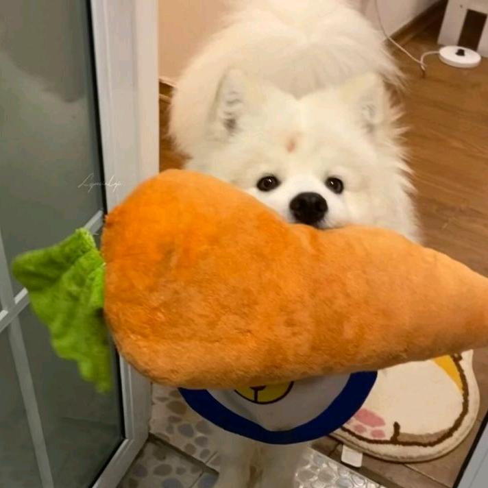我想吃五碗饭