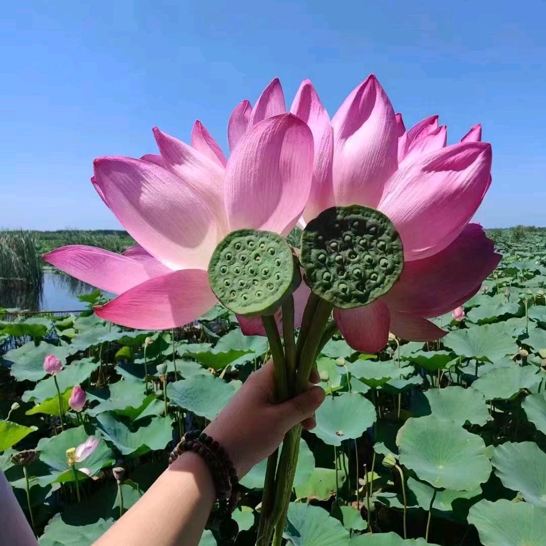 人到中年