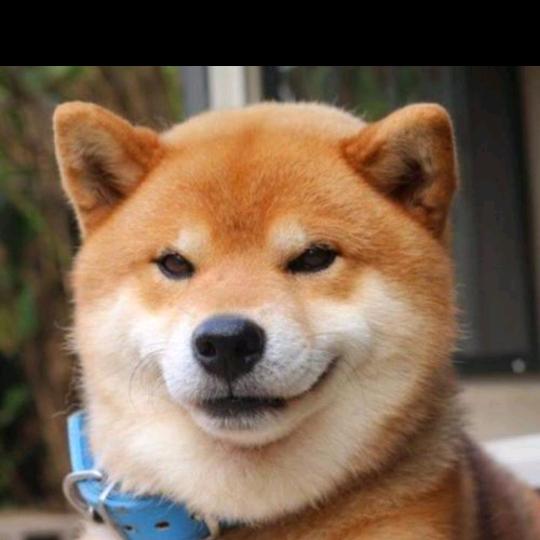 琼爸