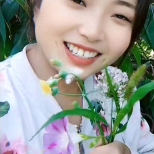 张阿维